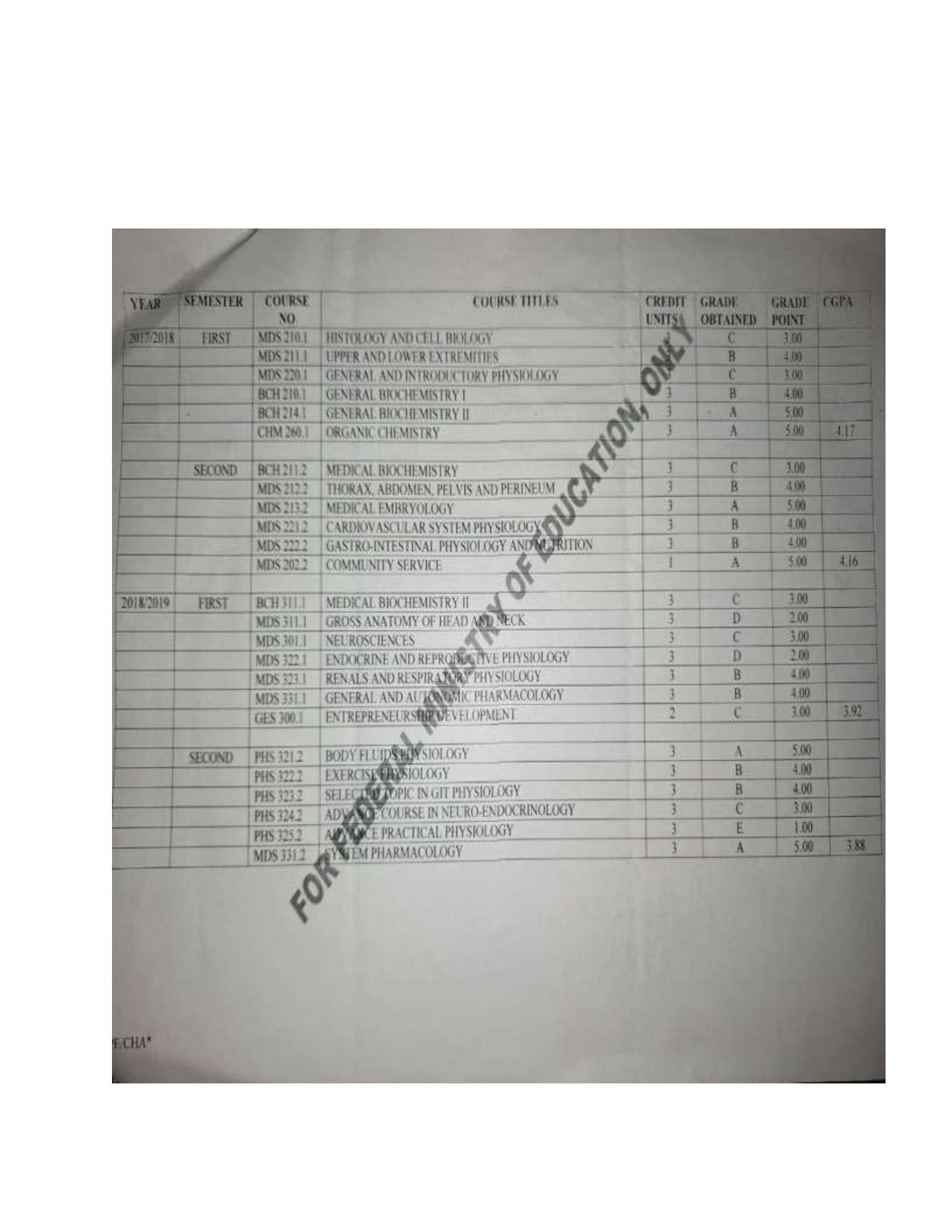 Document Page 2